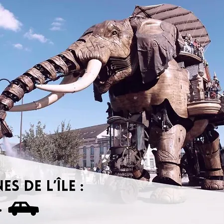 La Joiosa *
